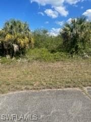 307 S Nancy LN-4