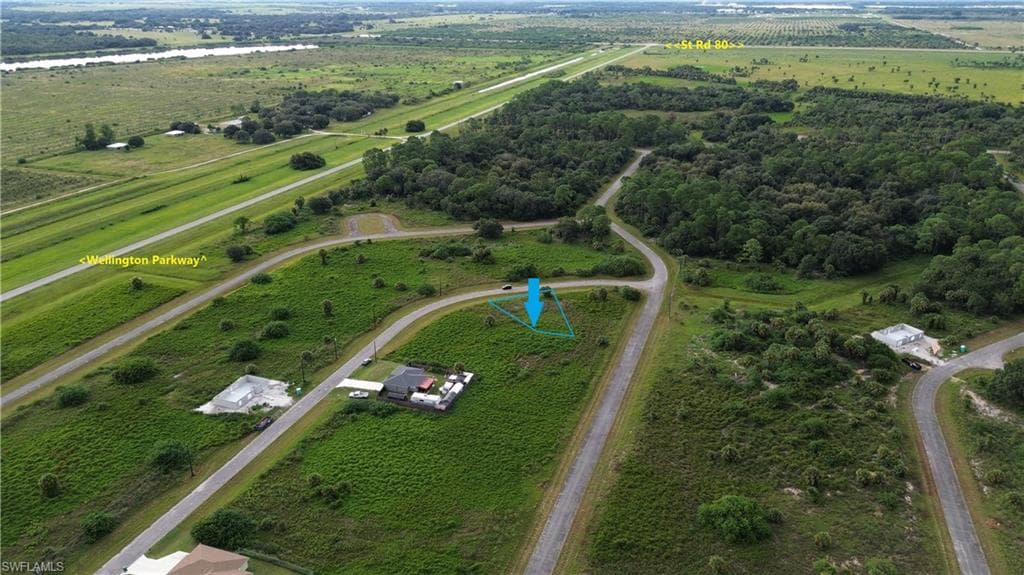 770 Shark LN-3