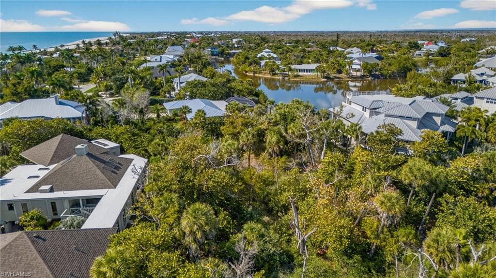 933 Strangler Fig LN-6