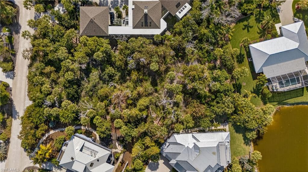 933 Strangler Fig LN-7