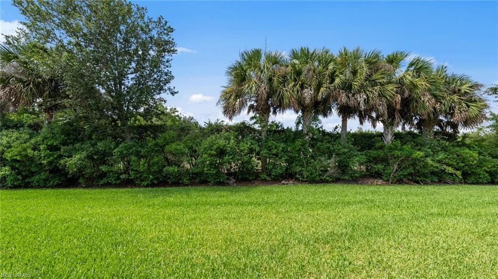 11544 Verandah Palm CT-33
