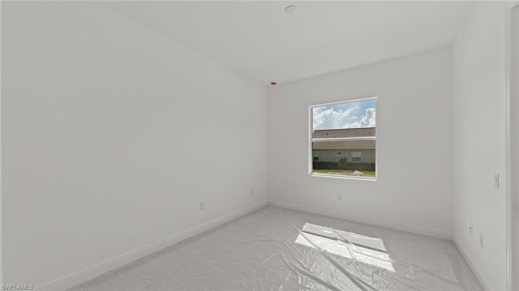 11544 Verandah Palm CT-19