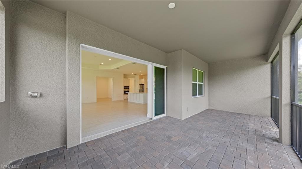 11544 Verandah Palm CT-31