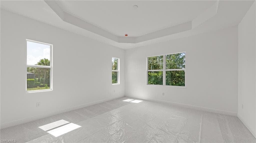 11544 Verandah Palm CT-25