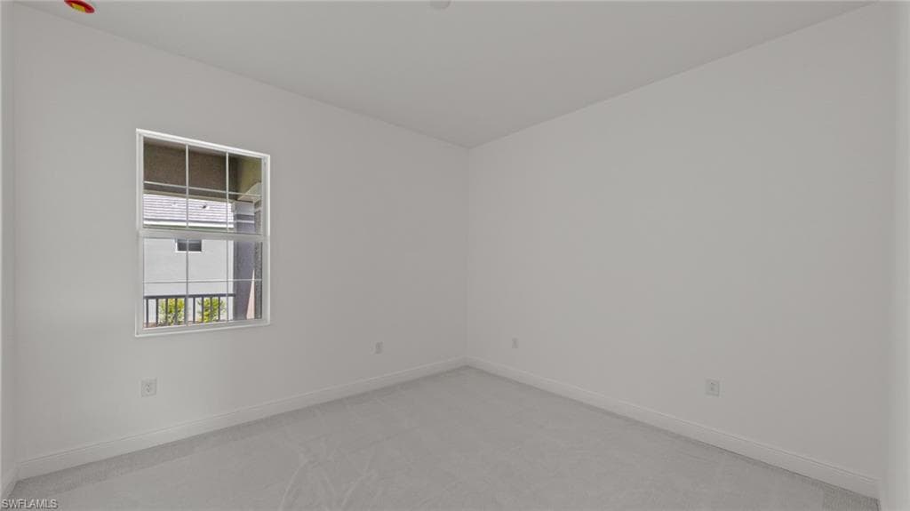11544 Verandah Palm CT-21