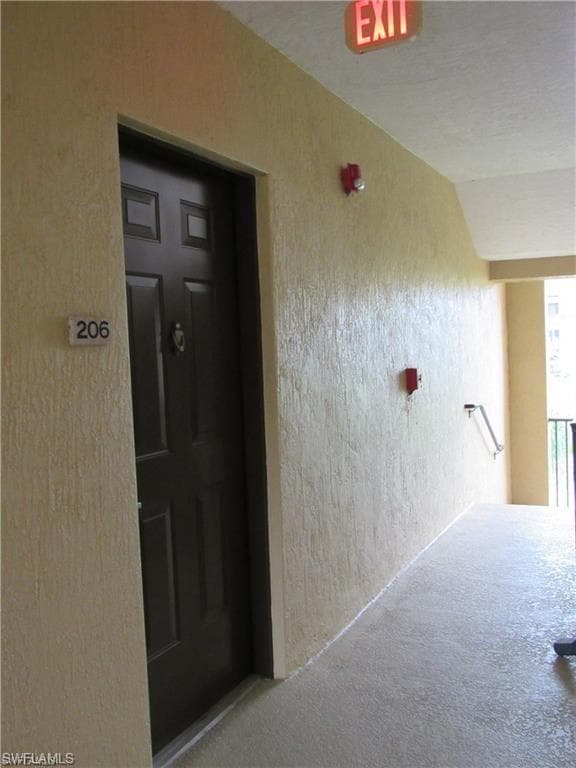 12936 Violino LN 206-3
