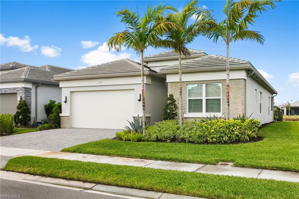 12363 Purple Ficus WAY-27