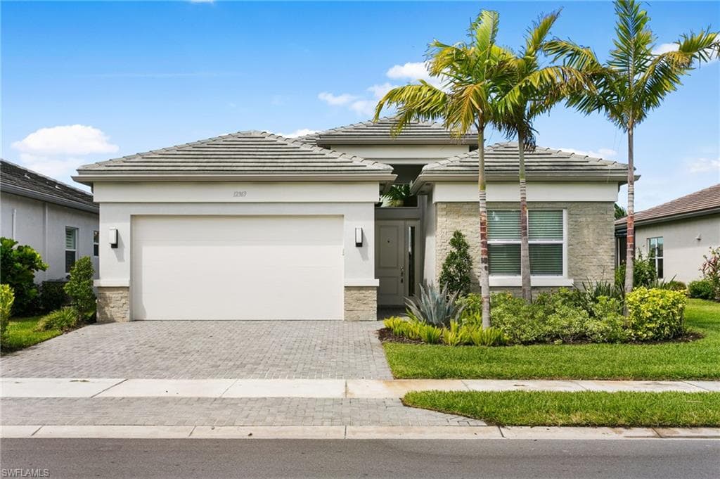 12363 Purple Ficus WAY-28