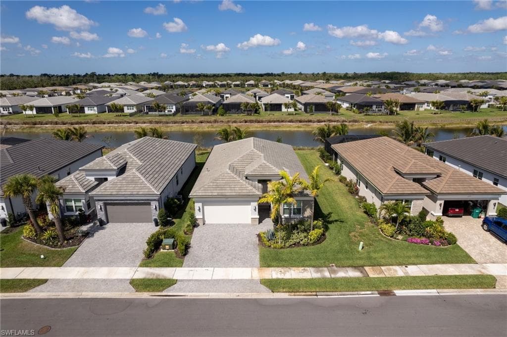 12363 Purple Ficus WAY-30