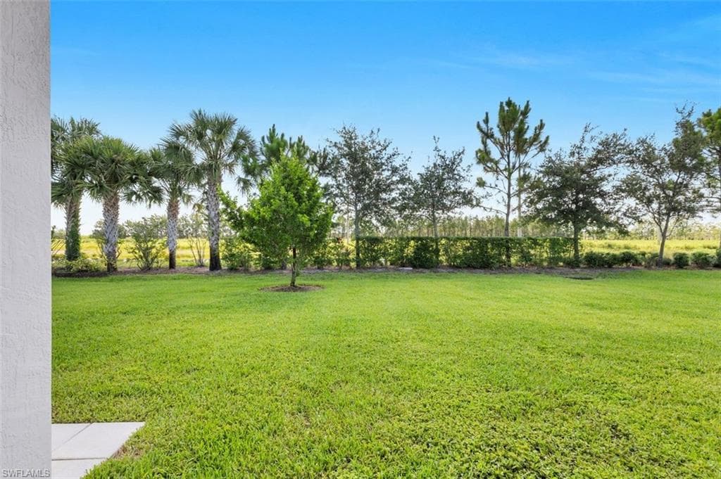 4881 Gambero WAY-36