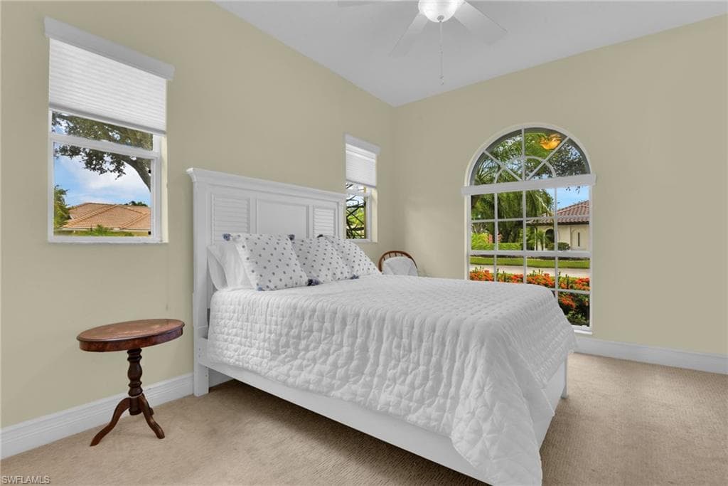 11620 Spoonbill LN-24