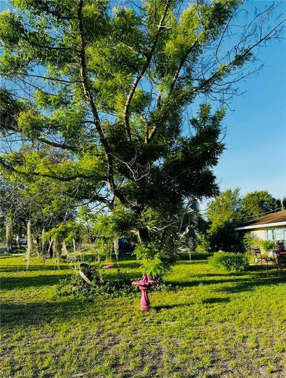 455 Trader RD-27