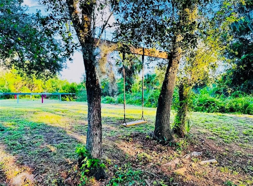 455 Trader RD-31
