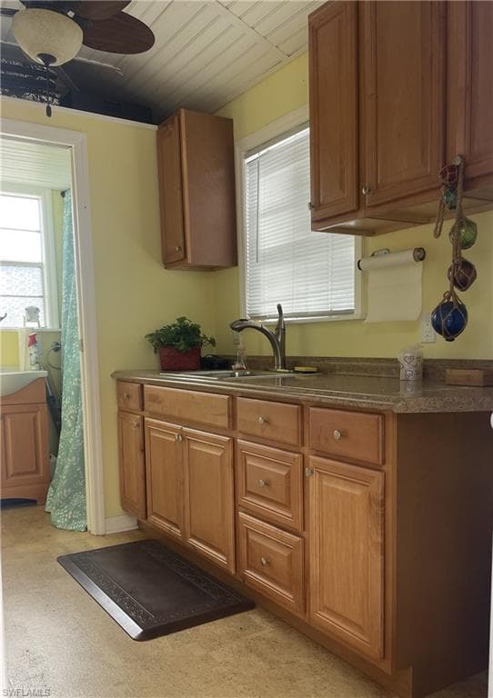 5230 Pineland Daisy TRL-23