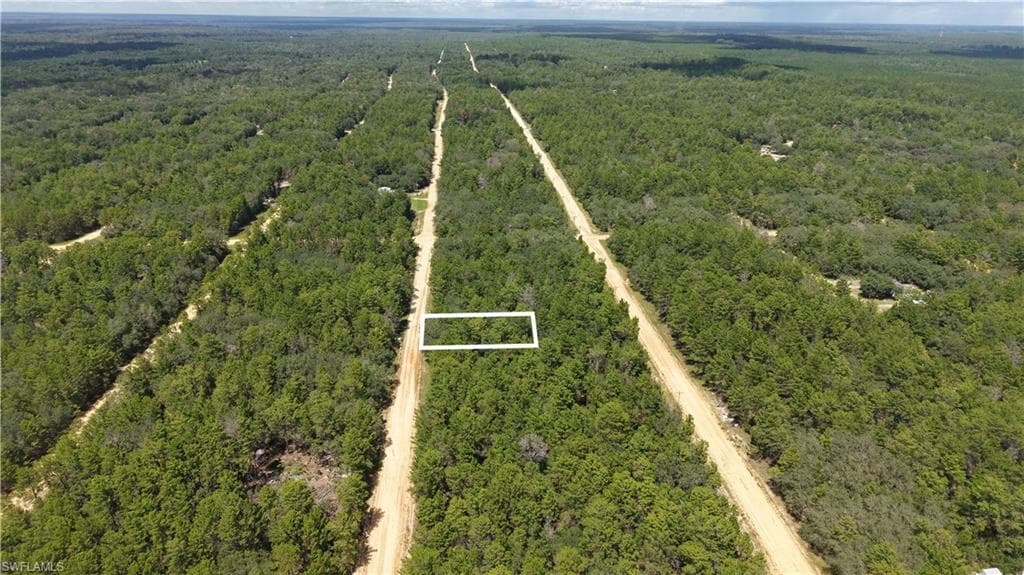 Neilsen Ave-3