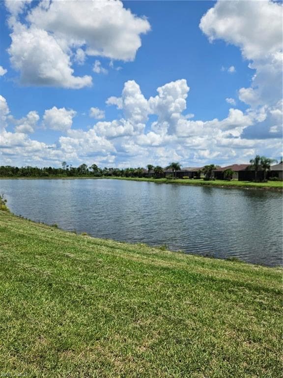2177 Laurifolia CT-2