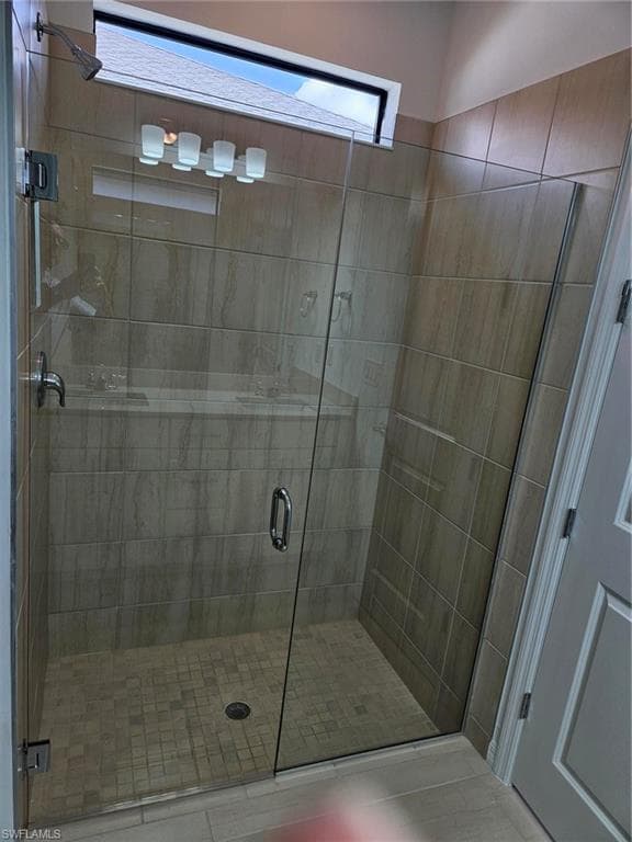2177 Laurifolia CT-13