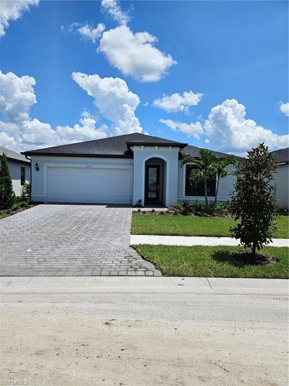 2177 Laurifolia CT-1
