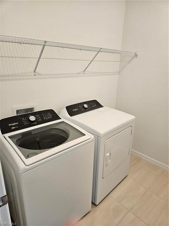 2177 Laurifolia CT-19