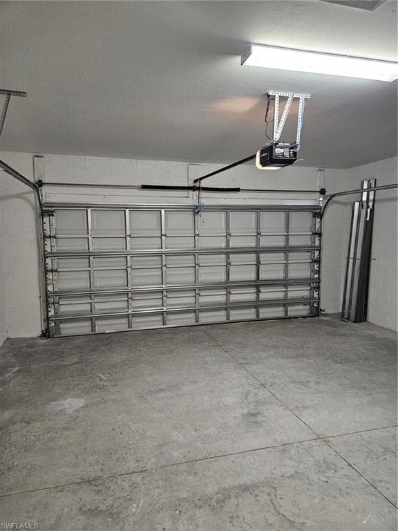 2177 Laurifolia CT-21