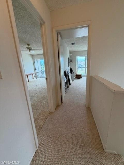 4289 Island CIR 3C-27