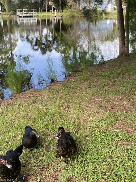 20503 Fern CIR-23