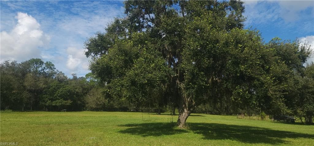 4634 Loblolly Bay RD-6