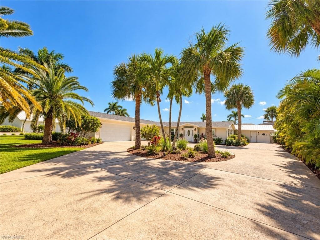 1757 Seafan CIR-3