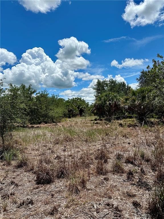 1701 Cabbage Wood Rd, Okeechobee, FL 34974-9