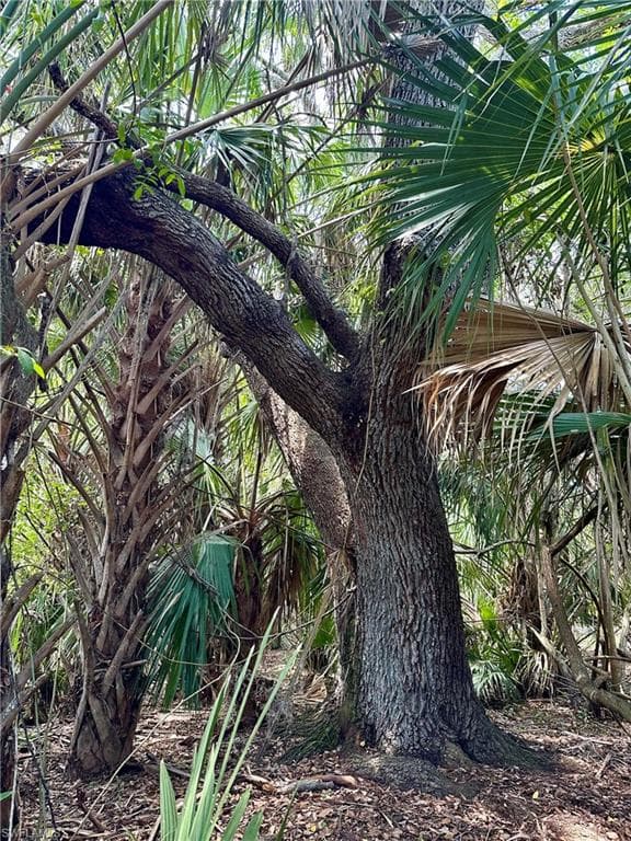 1701 Cabbage Wood Rd, Okeechobee, FL 34974-14