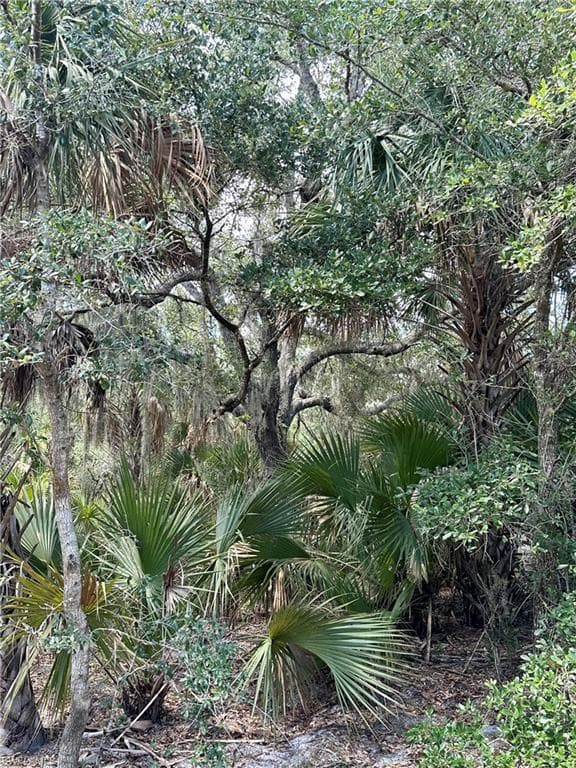 1701 Cabbage Wood Rd, Okeechobee, FL 34974-16