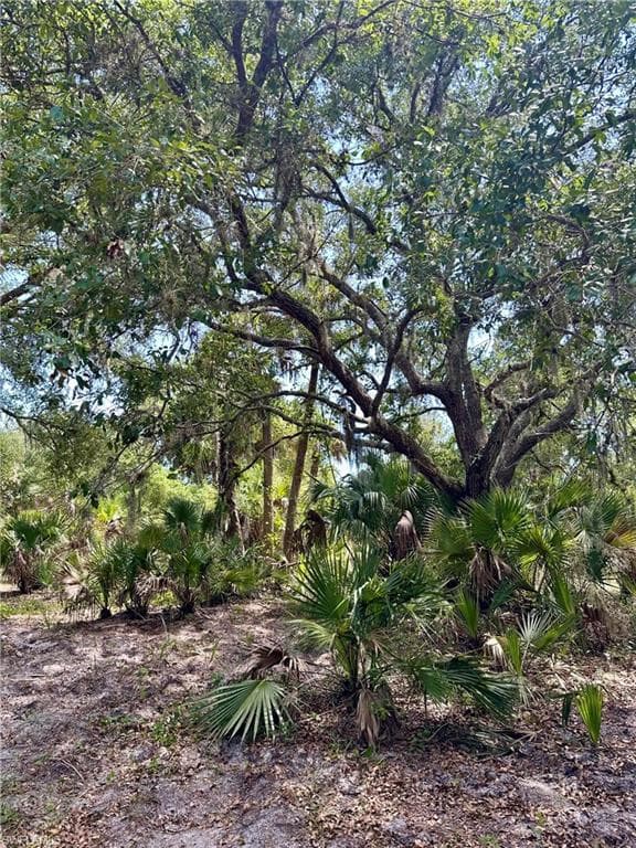 1701 Cabbage Wood Rd, Okeechobee, FL 34974-5